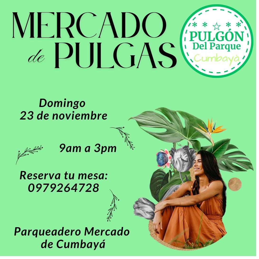 Mercado Pulgón del Parque Cumbayá